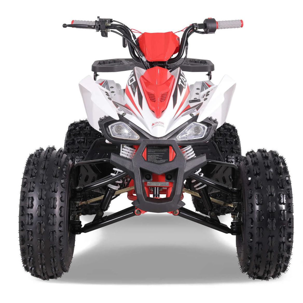 TaoMotor 125cc Cheetah DLX Kids ATV - TribalMotorsports