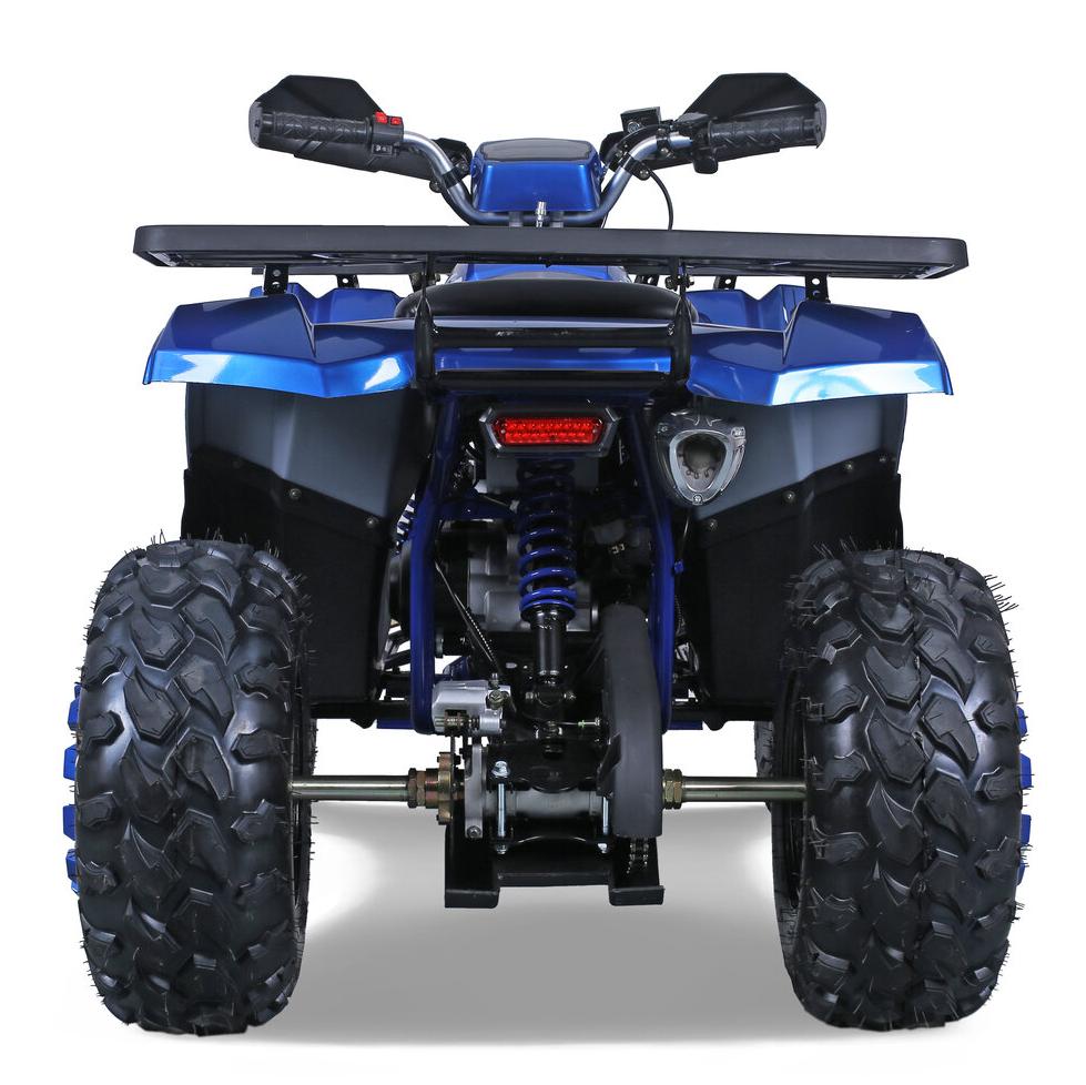 TaoMotor G200cc Fully Loaded ATV - TribalMotorsports