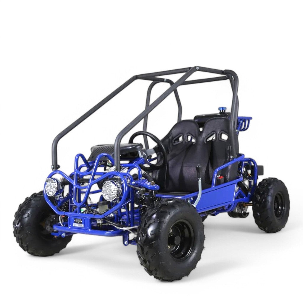 TaoMotor 107cc Kids Go-Kart - TribalMotorsports