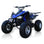 Coolster RZF 175cc Sport ATV - TribalMotorsports