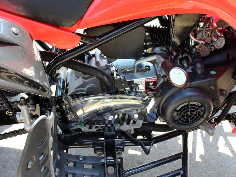 Coolster 150cc Sport Adult ATV - TribalMotorsports