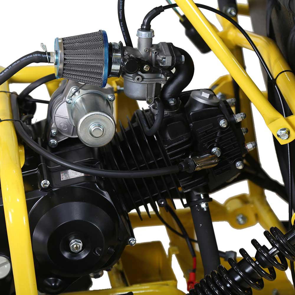 TaoMotor 107cc Kids Go Kart - TribalMotorsports