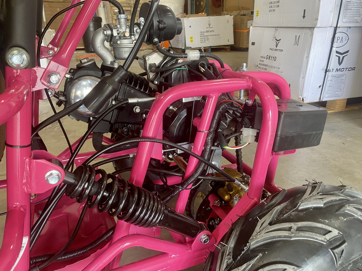 TaoMotor 107cc Kids Go Kart - TribalMotorsports