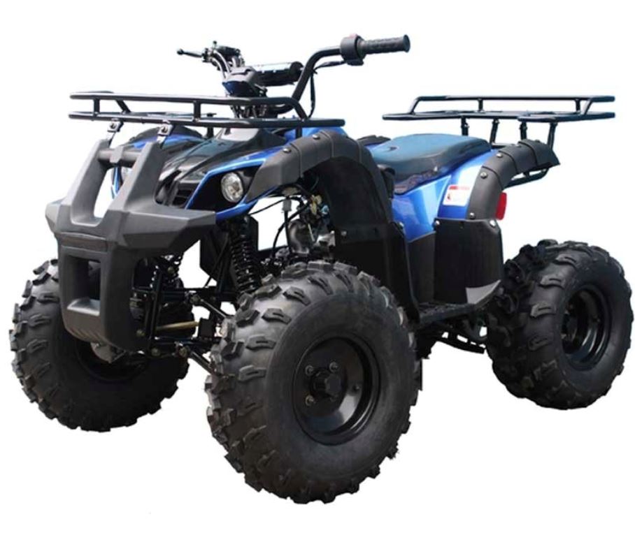 TaoMotor Trooper T125 Kids ATV - TribalMotorsports