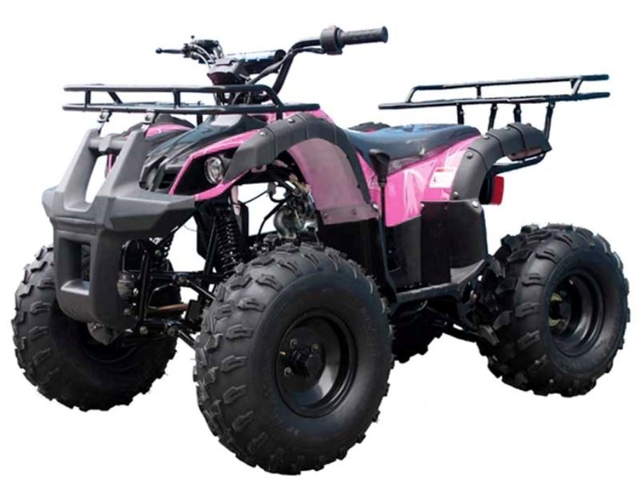 TaoMotor Trooper T125 Kids ATV - TribalMotorsports
