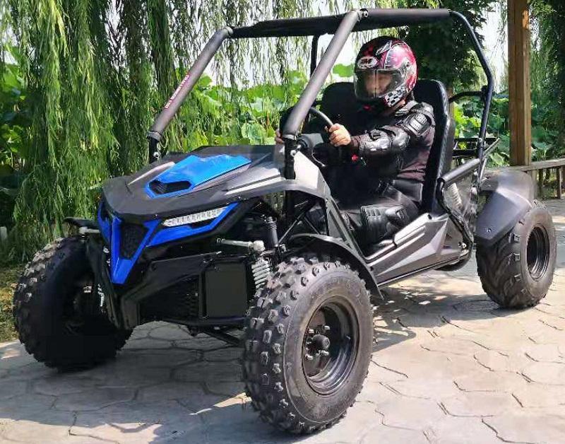 TrailMaster Cheetah 200E Go Kart - TribalMotorsports
