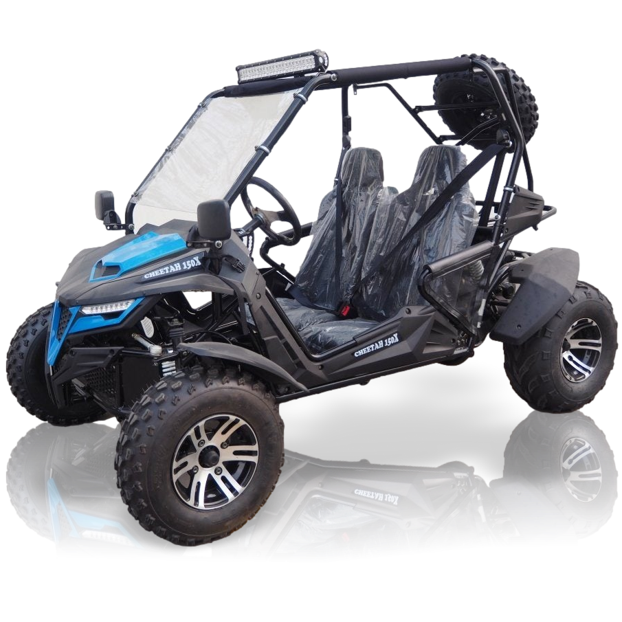 Trailmaster buggy top