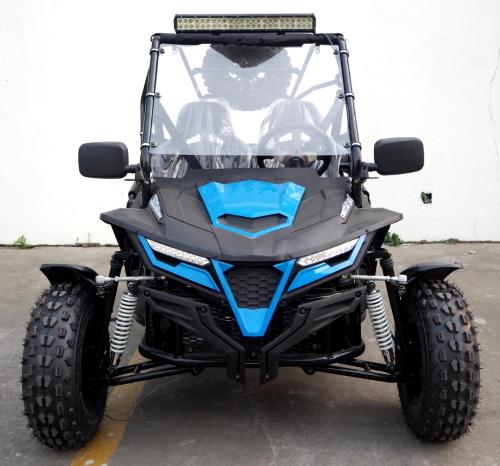 TrailMaster Cheetah 200X Sport Package Go Kart - TribalMotorsports