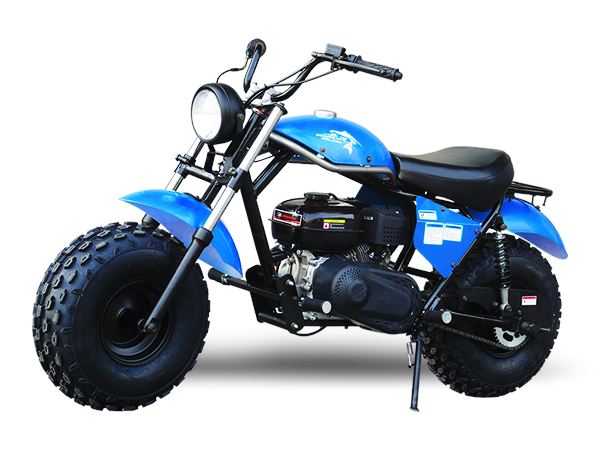 TrailMaster MB 200cc Mini Bike - TribalMotorsports