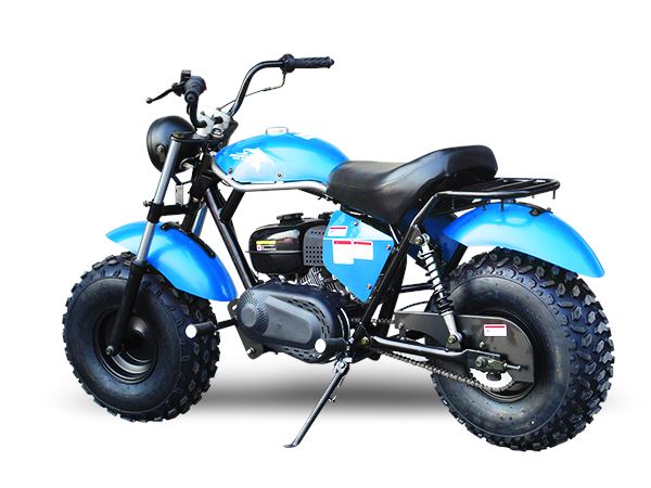 TrailMaster MB 200cc Mini Bike - TribalMotorsports