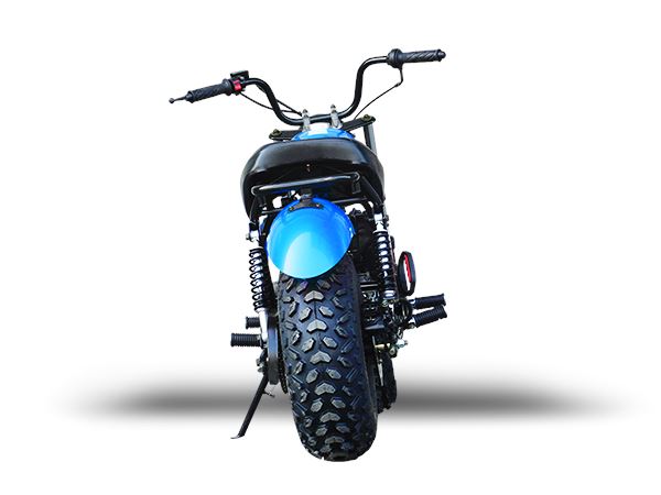 TrailMaster MB 200cc Mini Bike - TribalMotorsports