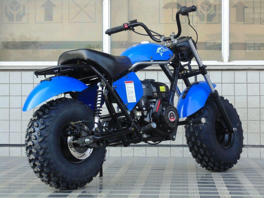 TrailMaster MB 200cc Mini Bike - TribalMotorsports