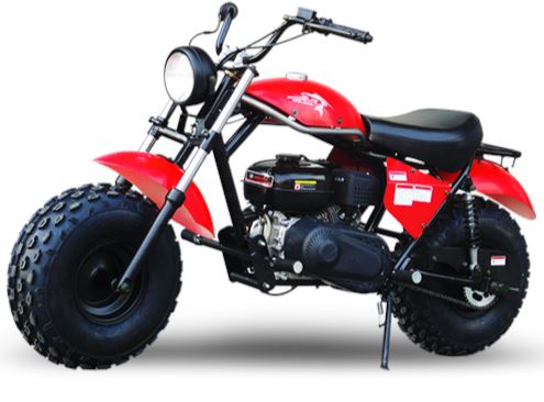 TrailMaster MB 200cc Mini Bike - TribalMotorsports
