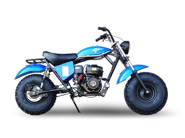 TrailMaster MB 200cc Mini Bike - TribalMotorsports