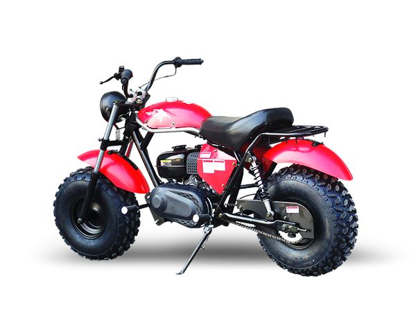 TrailMaster MB 200cc Mini Bike - TribalMotorsports