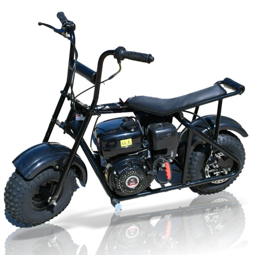 TrailMaster Storm 200 Mini Bike