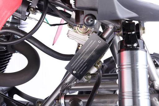 Vitacci Pentora 250cc Adult 4 Wheeler - TribalMotorsports