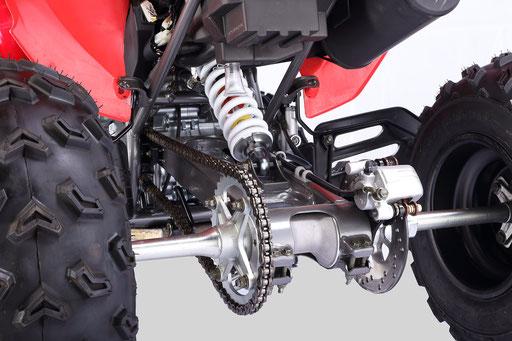 Vitacci Pentora 250cc Adult 4 Wheeler - TribalMotorsports