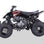 Vitacci Pentora 250cc Adult 4 Wheeler - TribalMotorsports