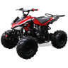 Coolster 125cc Sport-C Kids ATV - TribalMotorsports