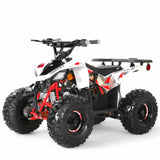 Coolster 125cc R2 Kids ATV - TribalMotorsports
