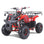 Taomotor D125 Kids ATV - TribalMotorsports