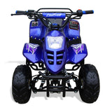 Coolster 110cc Kids ATV - TribalMotorsports