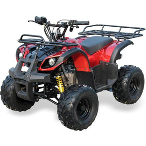 Coolster 125cc R1 Kids ATV - TribalMotorsports