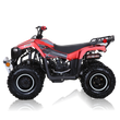 Coolster 125cc Mammoth Kids ATV - TribalMotorsports