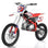 Apollo Z20 MAX 125cc Racing Dirt Bike - TribalMotorsports