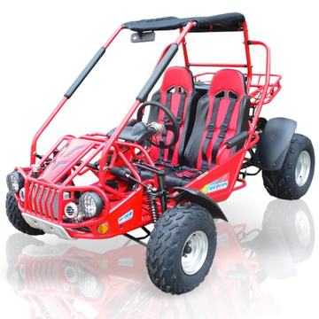 300cc go kart top speed sales