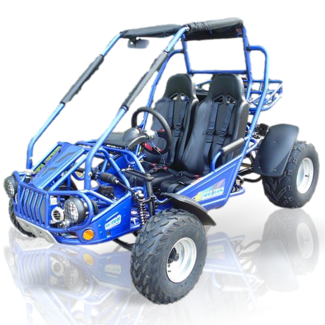 80cc 300cc Kid Adult Go Karts for Sale TribalMotorsports