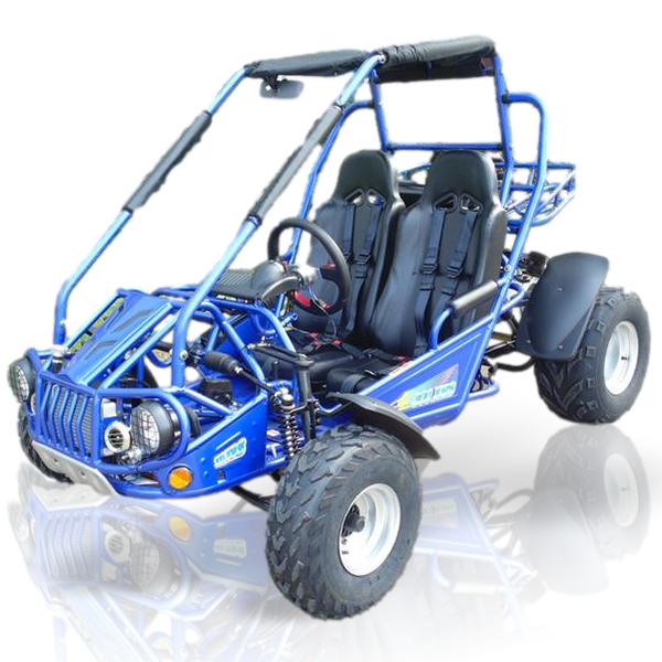 Trailmaster 300cc xrx gokart hotsell