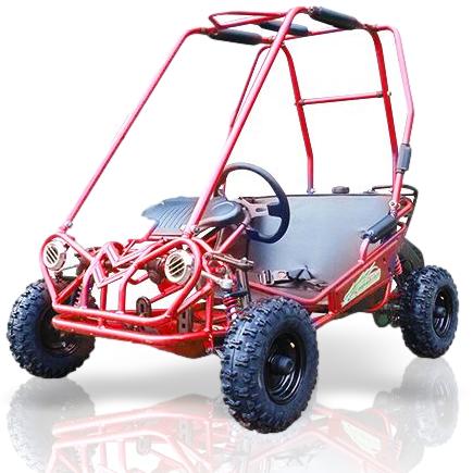 trailmaster mini XRS+ Kids 2 seater go kart